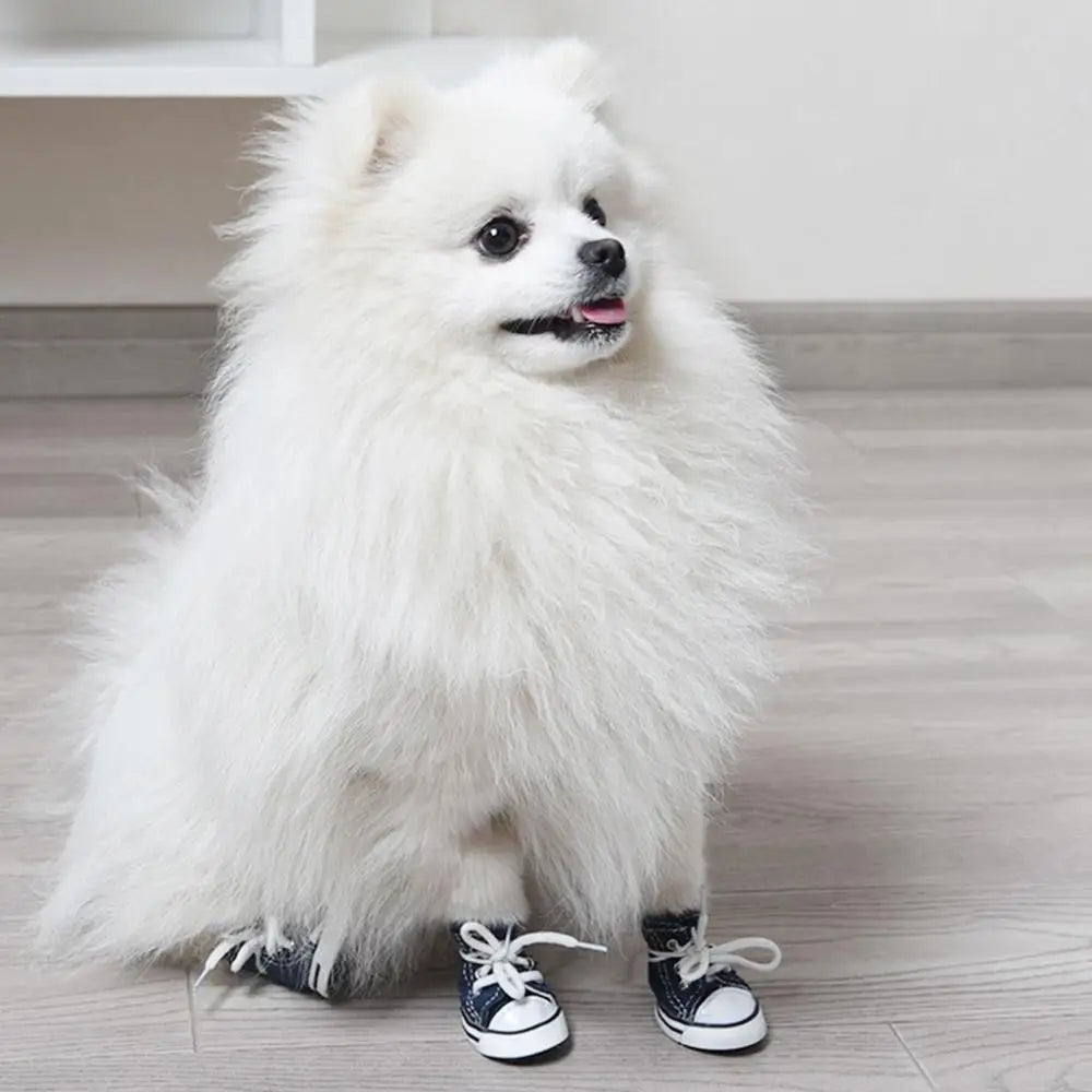 Fashion Denim Sneakers for Small Dogs, Puppies and Cats.