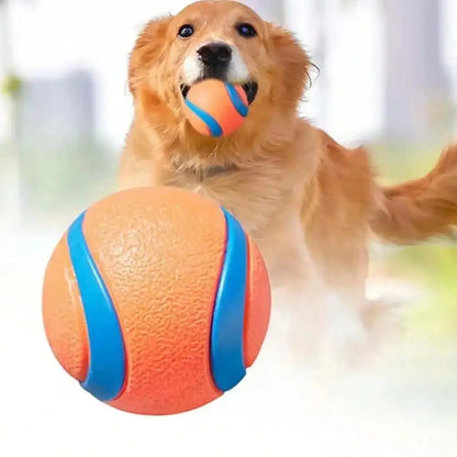 Toy Ball for Puppies & Small, Medium & Large Dogs.