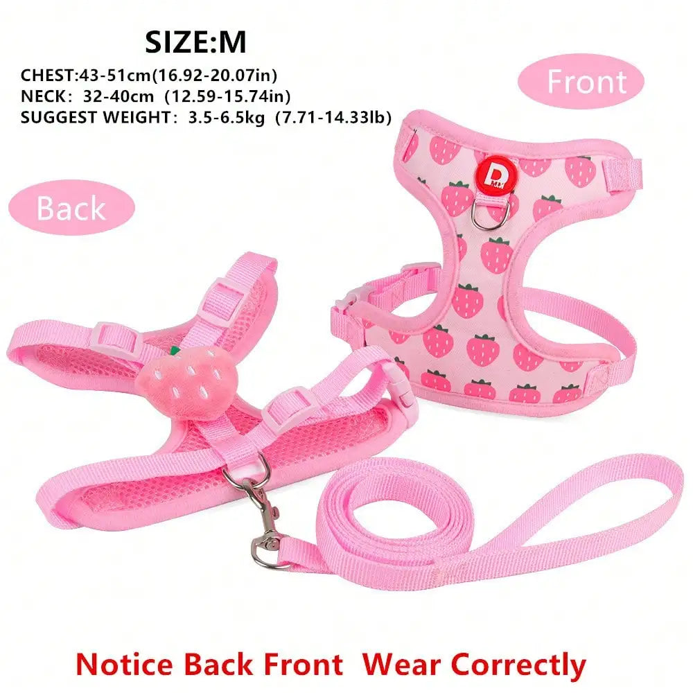 Cute Pet Harness And Leash Set For Small Dogs.  Anti-Escape Cat Leash.  Adjustable Cat Vest,