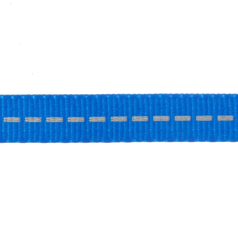 Reflective Polyester Dog Leash, Blue, Medium, 5 Feet