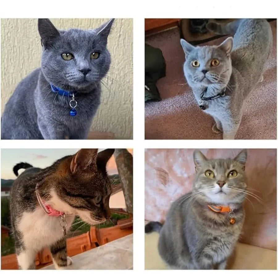 Reflective Collar and Leash Set for Cats, Small Dogs & Puppies.