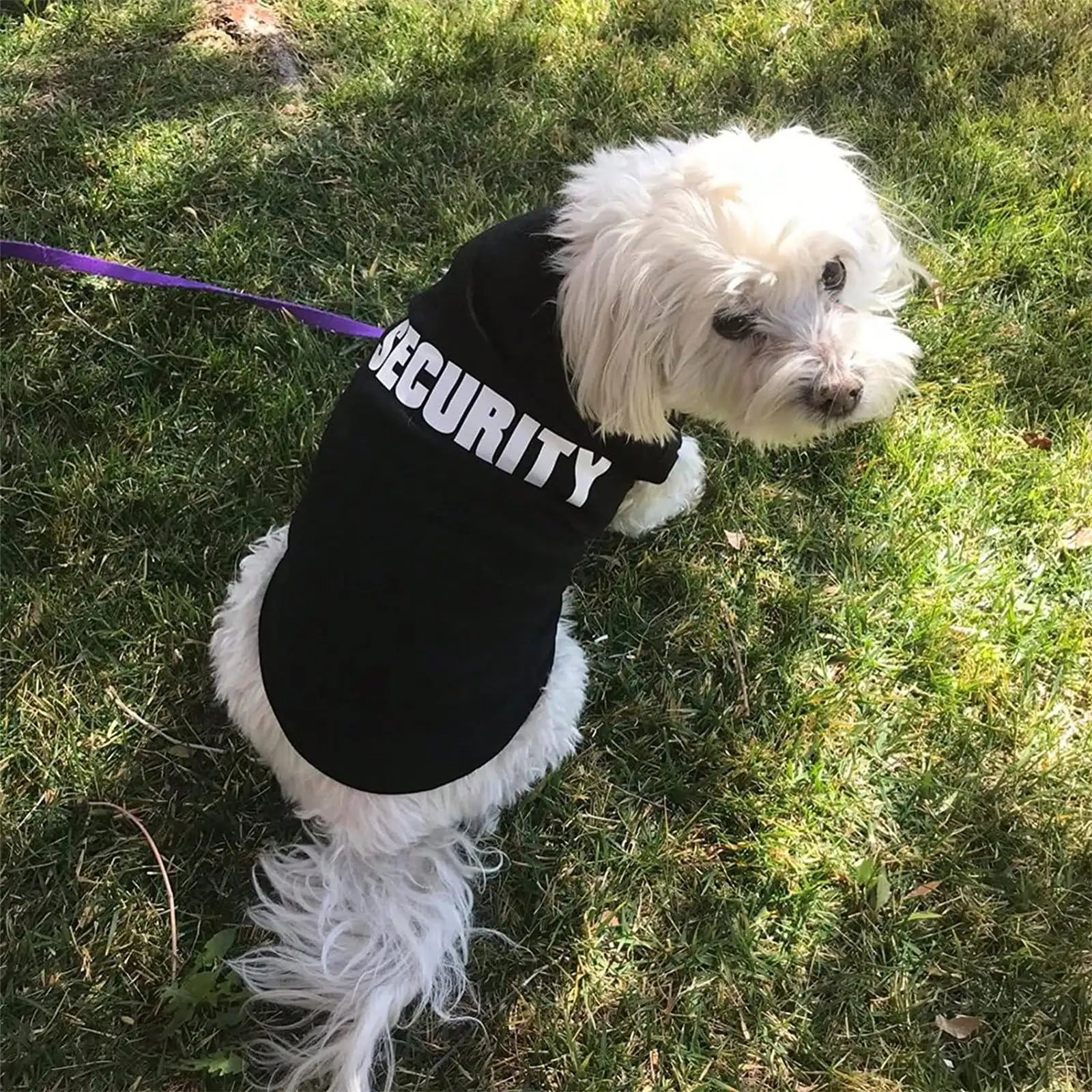 1 Piece of Dog and Cat clothes,  breathable, cute and sleeveless top states SECURITY.