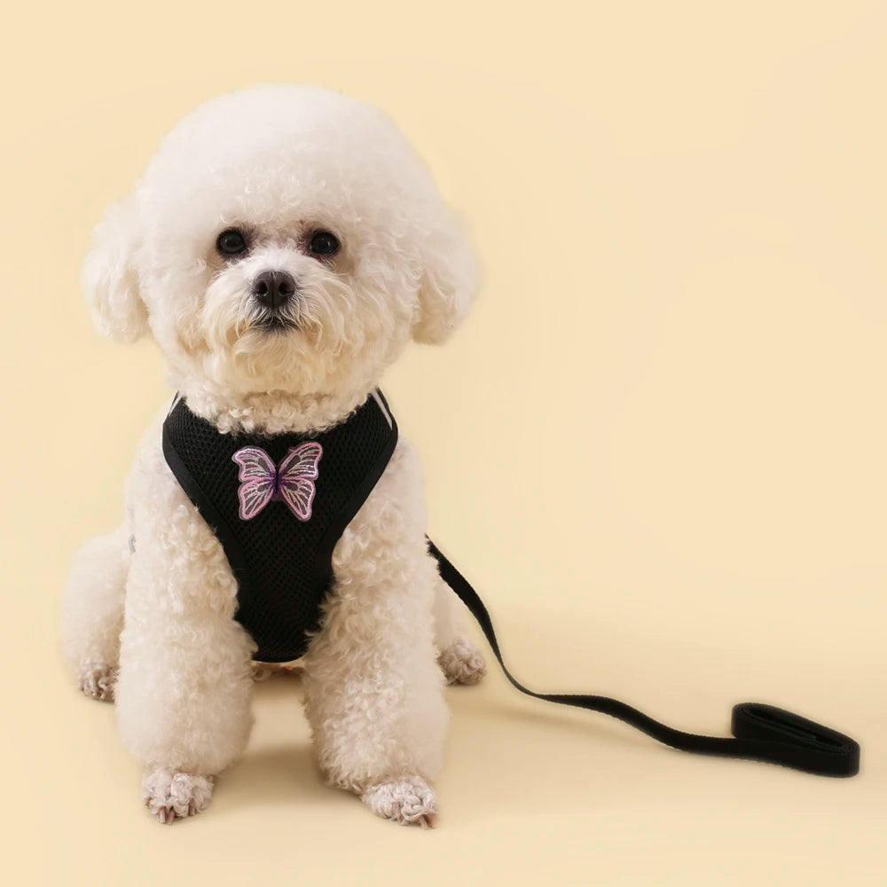 Breathable Cat Harness Set Detachable Butterfly.   Small Dog Harness Vest Set with Leash.
