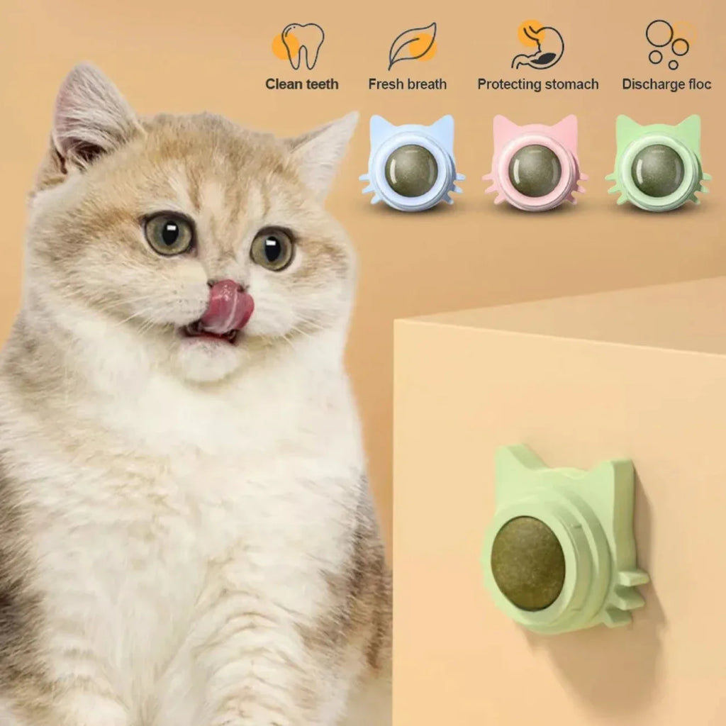 Interactive Catnip Lollipop for Cats – Natural Dental Care Treat on a Stick, Wall-Mountable for Play & Digestive Support.