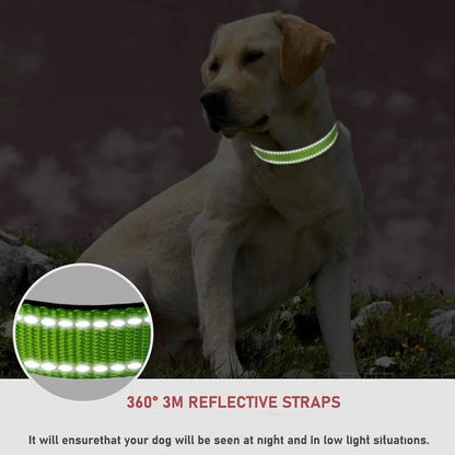 Reflective Collars for Dogs.