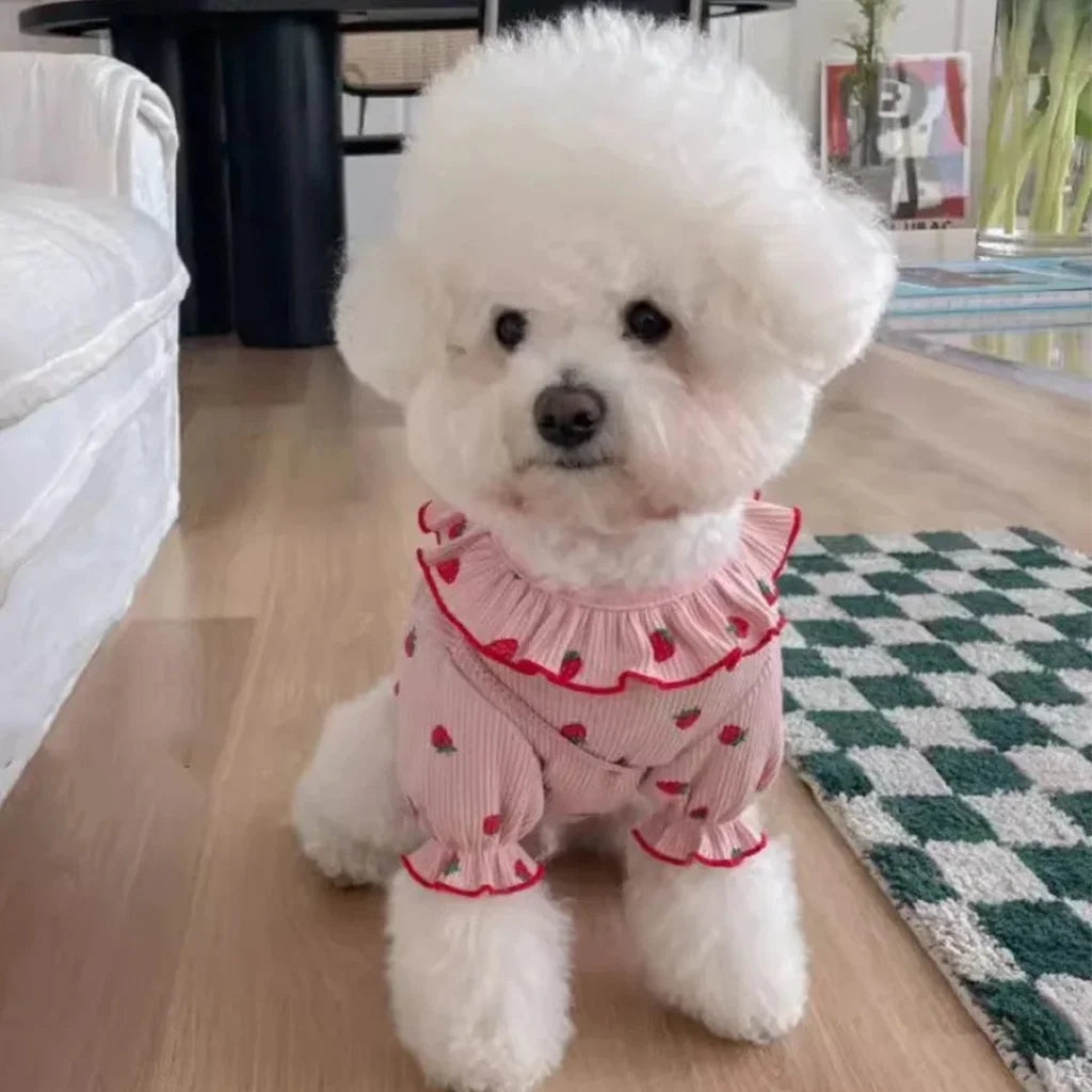 Strawberry Print Small Dog or Cat Summer Dress.
