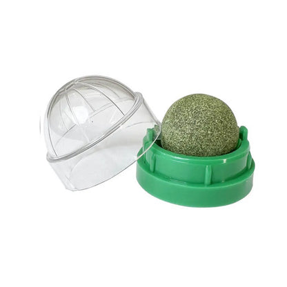 Catnip Cat Wall Stick-on Ball Toy Scratchers.