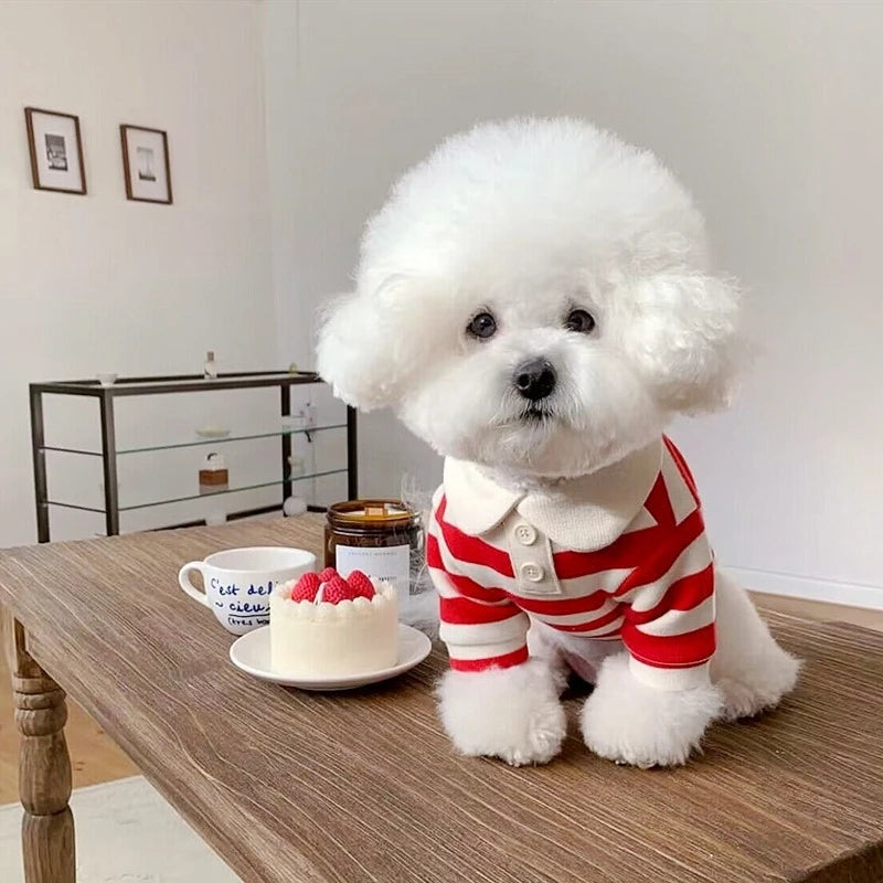 Summer Polo Shirt for Dogs and Puppies.