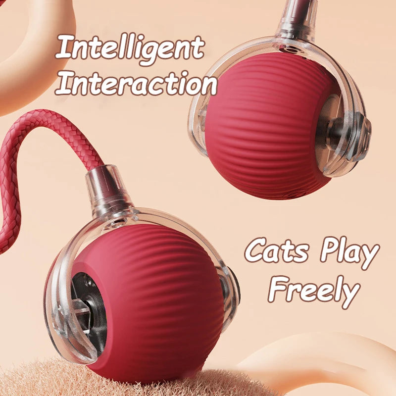 2Pcs Cat Ball Auto Rolling Ball Rechargeable Toy.
