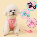 Breathable Cat Harness Set Detachable Butterfly.   Small Dog Harness Vest Set with Leash.