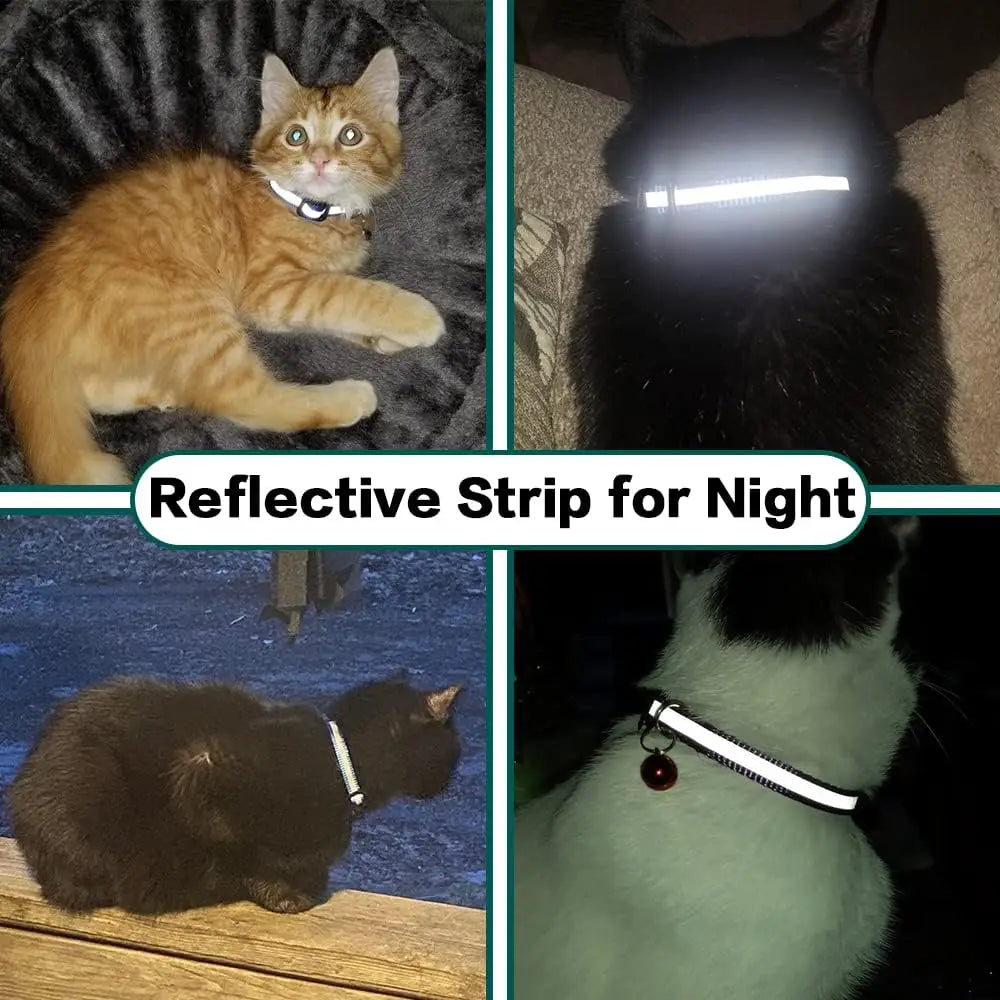 Cat Collar with Apple Air Tag Holder and Bell.