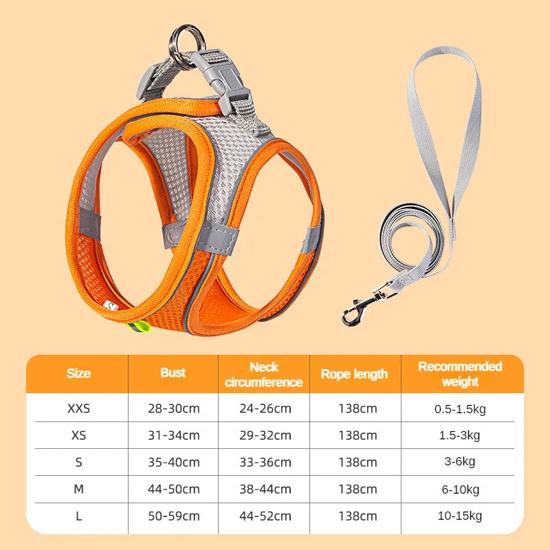 Puppy Collar and Leash Set,  Adjustable for Puppies, Cats and Small Dogs. Comes with Harness Vest.