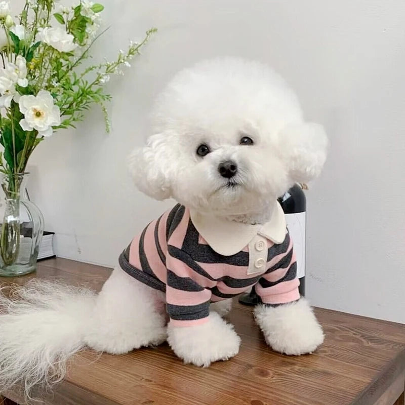 Summer Polo Shirt for Dogs and Puppies.
