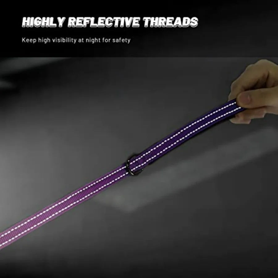 Reflective Dog Collar and Leash Set.                                   Purple Martingale Dog Collar and Leash for Dogs, Adjustable Durable Nylon Pet Collars with