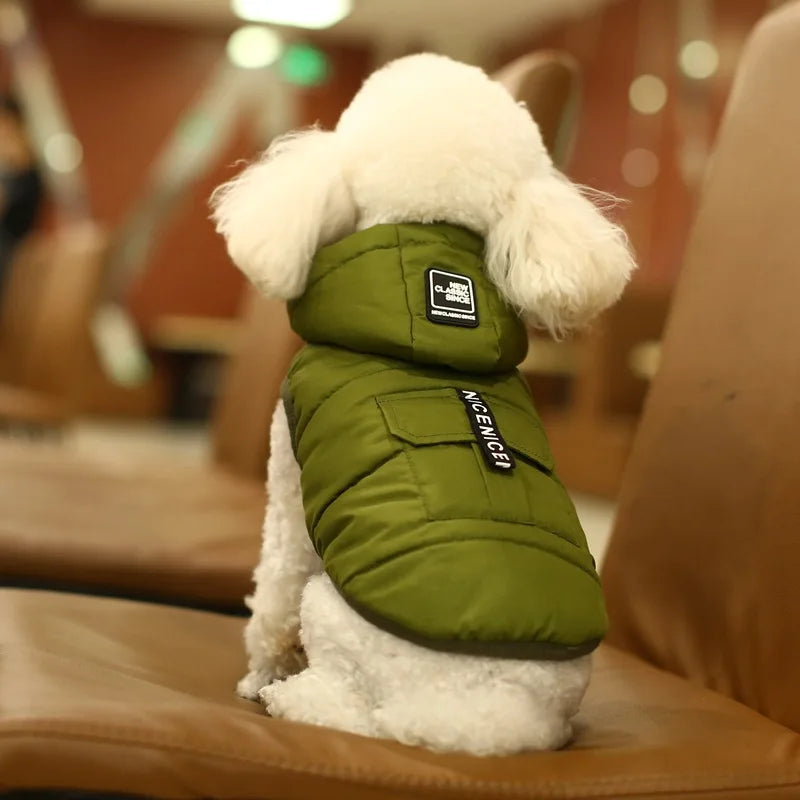 Winter Cotton Waterproof Coat with Hood for Small Dogs and Puppies.