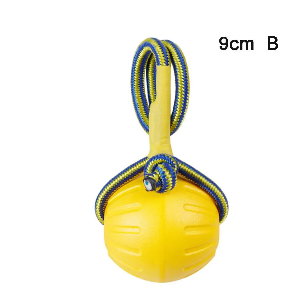 Rubber Ball, Dog Training Chew,  Toy Fetch and Tease Chew Toy.