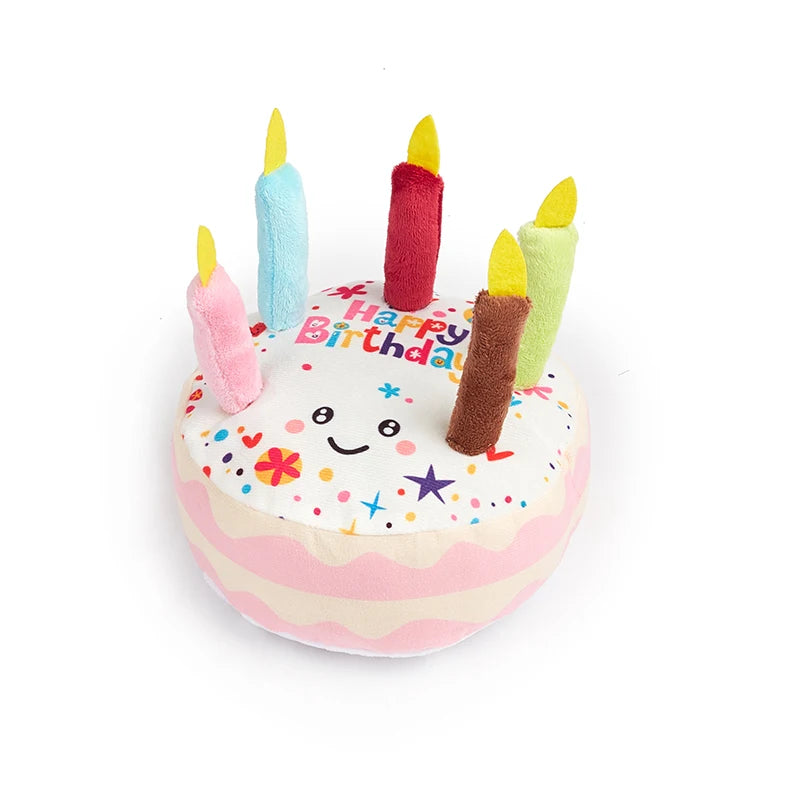 Squeaky Birthday Cake for Dog.