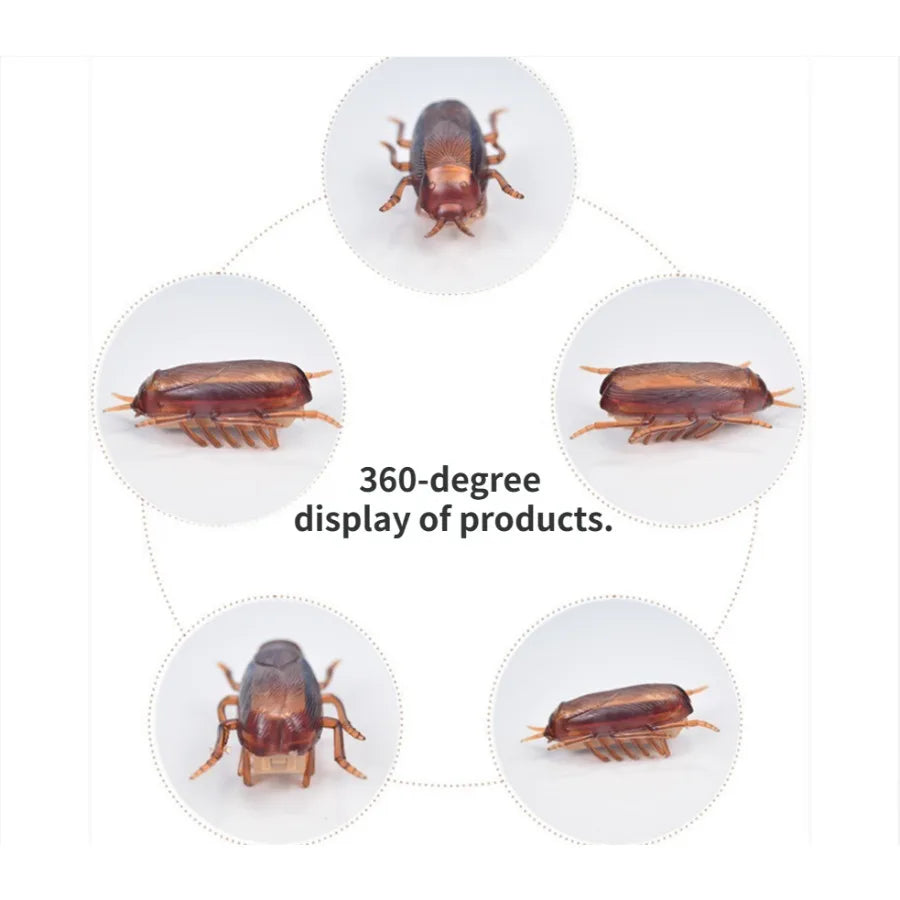 Funny Simulation of Cockroaches,  Play Toys for Cats, Dogs, Kittens.