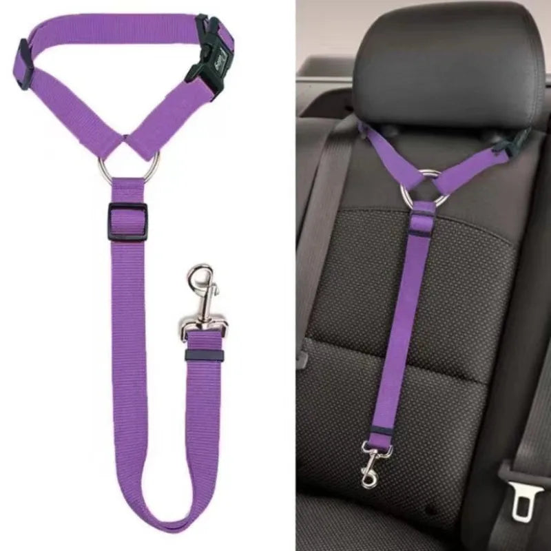 Two-in-one Pet Car Seat Belt and Leash.  Adjustable and Nylon.