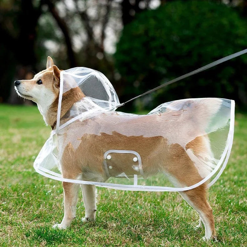 Dog Raincoats Transparent, Waterproof and Windproof. Sizes Small, Medium, Large and Extra Large.