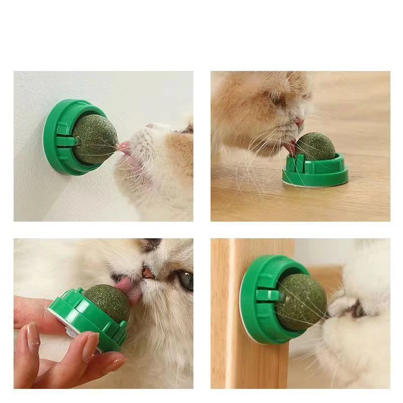 Catnip Cat Wall Stick-on Ball Toy Scratchers.