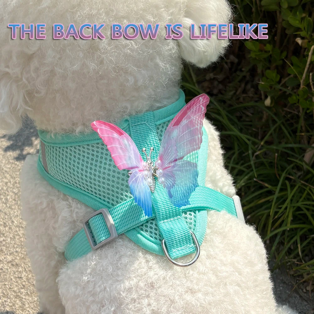 Breathable Cat Harness Set Detachable Butterfly.   Small Dog Harness Vest Set with Leash.