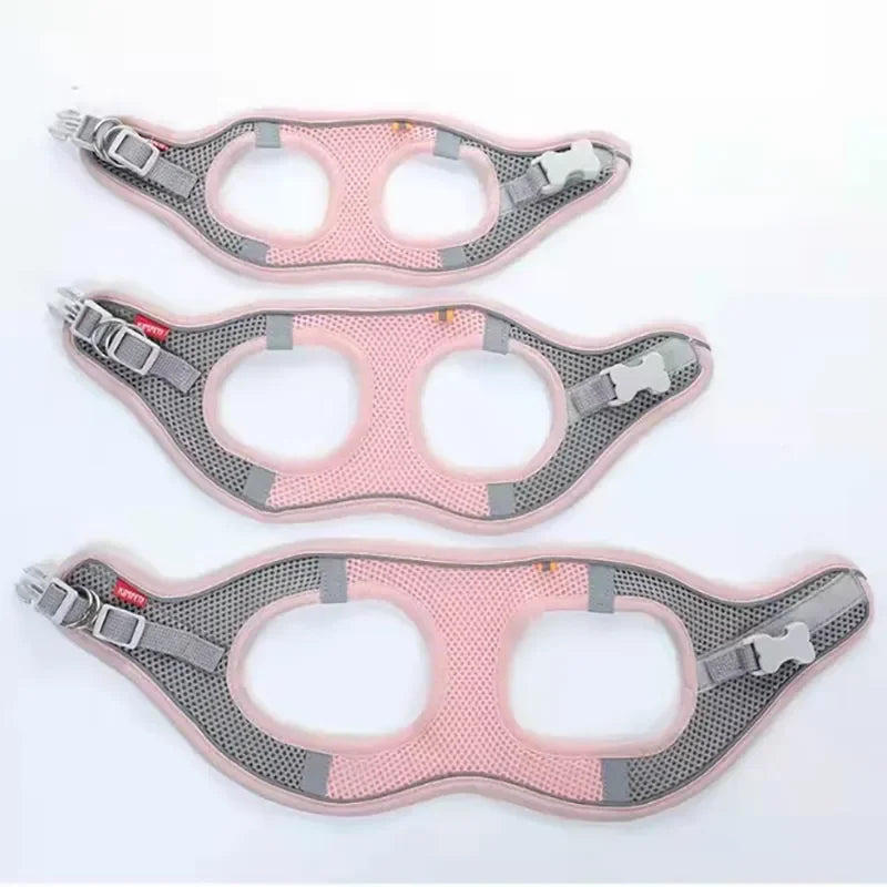 Vest-Style Dog Harness and Leash Set.