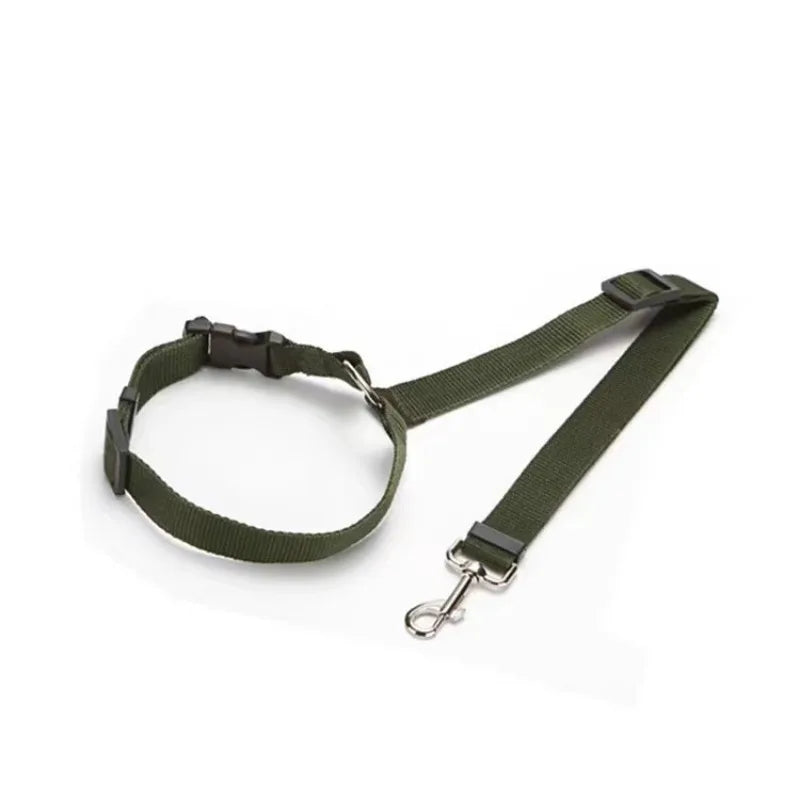Two-in-one Pet Car Seat Belt and Leash.  Adjustable and Nylon.