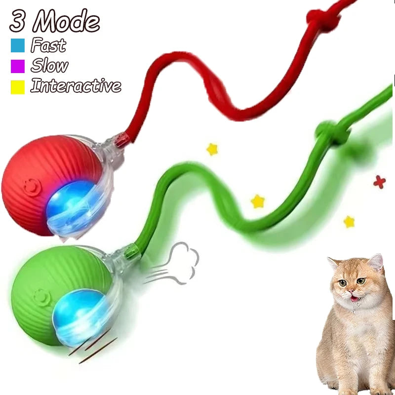 2Pcs Cat Ball Auto Rolling Ball Rechargeable Toy.