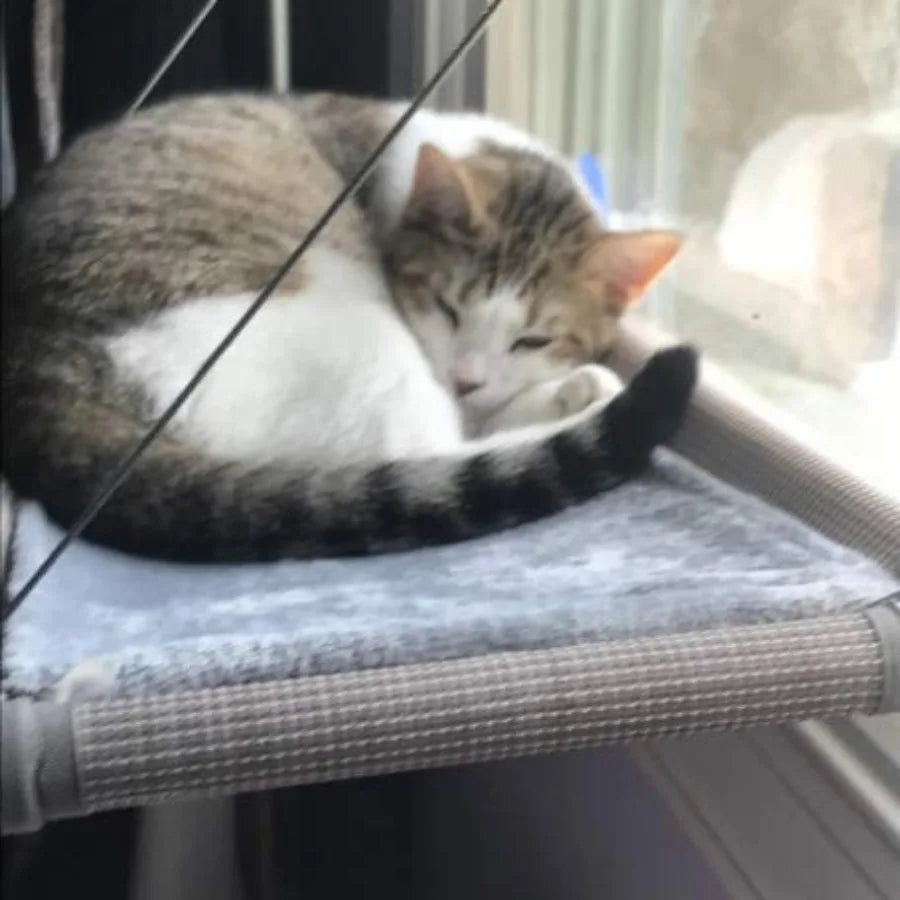 Cat Window Hammock, Waterproof Cats Window Perch, for Large Cats.  Hammock with Flannel Cover, 2 Suction Cups.