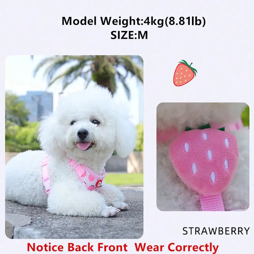 Cute Pet Harness And Leash Set For Small Dogs.  Anti-Escape Cat Leash.  Adjustable Cat Vest,