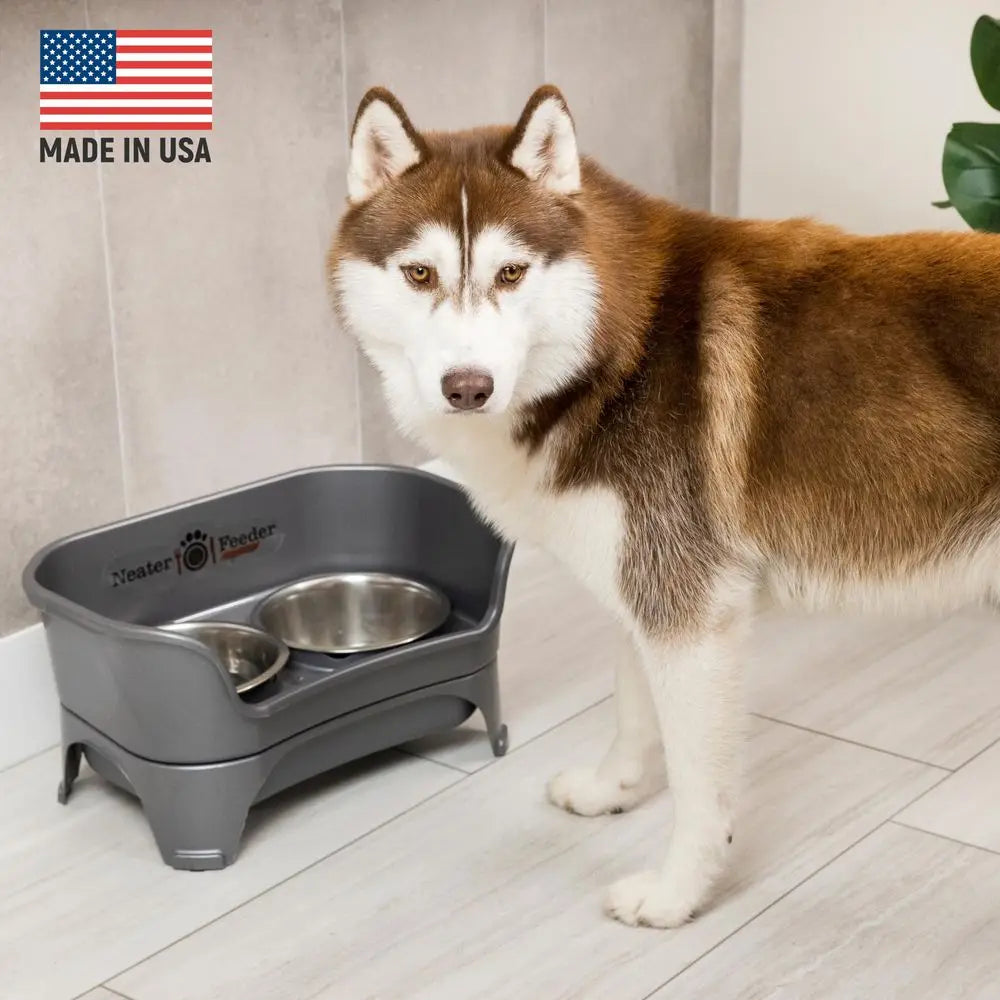 Mess Proof Dog Bowls Elevated for Medium to Large Sized Breed, Raised Dog Food Bowl Stand,