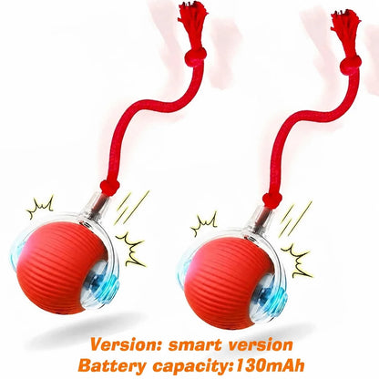 Automatic Rolling Dog Ball Toy.
