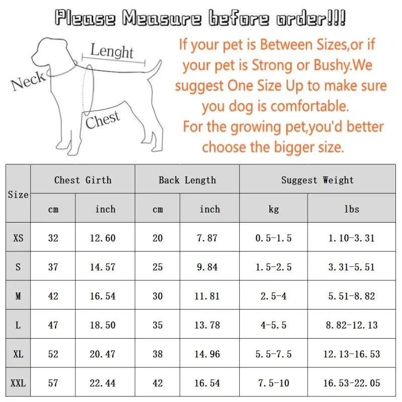 Fashion Bear Print Down Jacket for Small Dogs, Puppies and Cats.