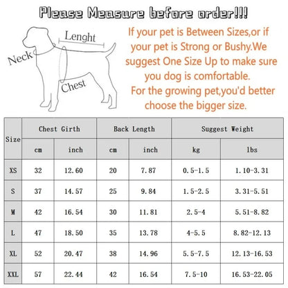 Fashion Bear Print Down Jacket for Small Dogs, Puppies and Cats.