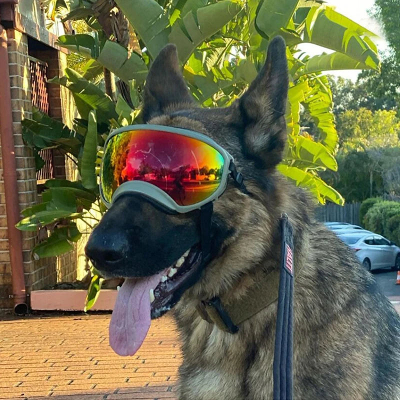 Dog Goggles Anti-UV Sun Glasses,  Eyewear Protection,  Adjustable and Windproof.