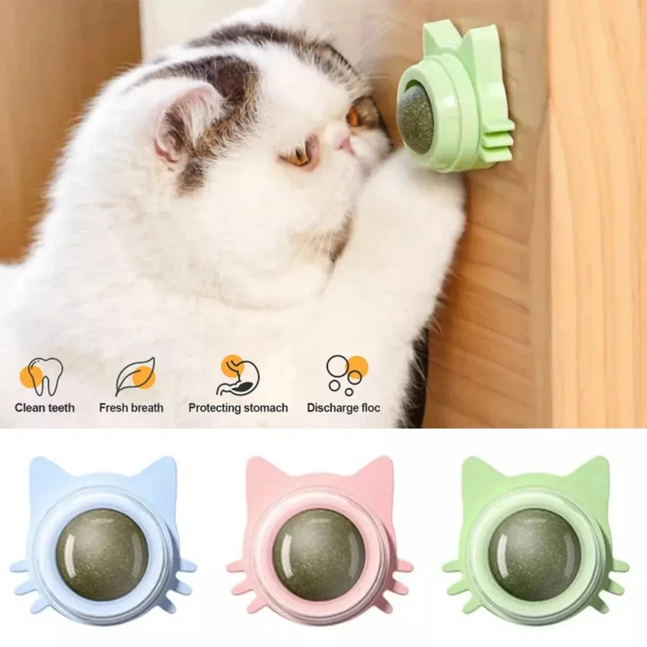 Interactive Catnip Lollipop for Cats – Natural Dental Care Treat on a Stick, Wall-Mountable for Play & Digestive Support.