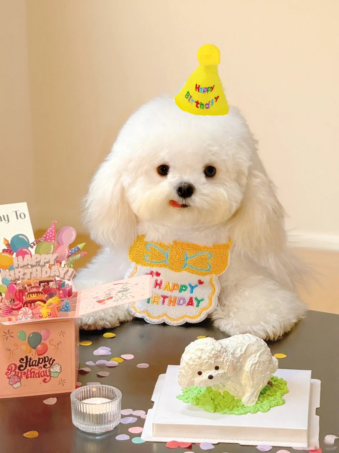 Pet Birthday Outfit for Cats and Dogs are a Birthday Bib and Party Hat.   The Bib is an Adjustable Bandana Scarf for Small Dogs, Puppies and Cats.