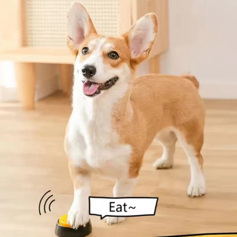 Dog Toy Recordable Talking Button.