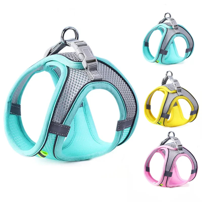 Vest-Style Dog Harness and Leash Set.