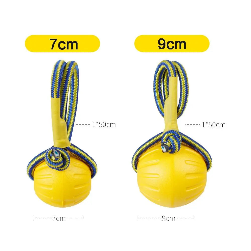 Rubber Ball, Dog Training Chew,  Toy Fetch and Tease Chew Toy.