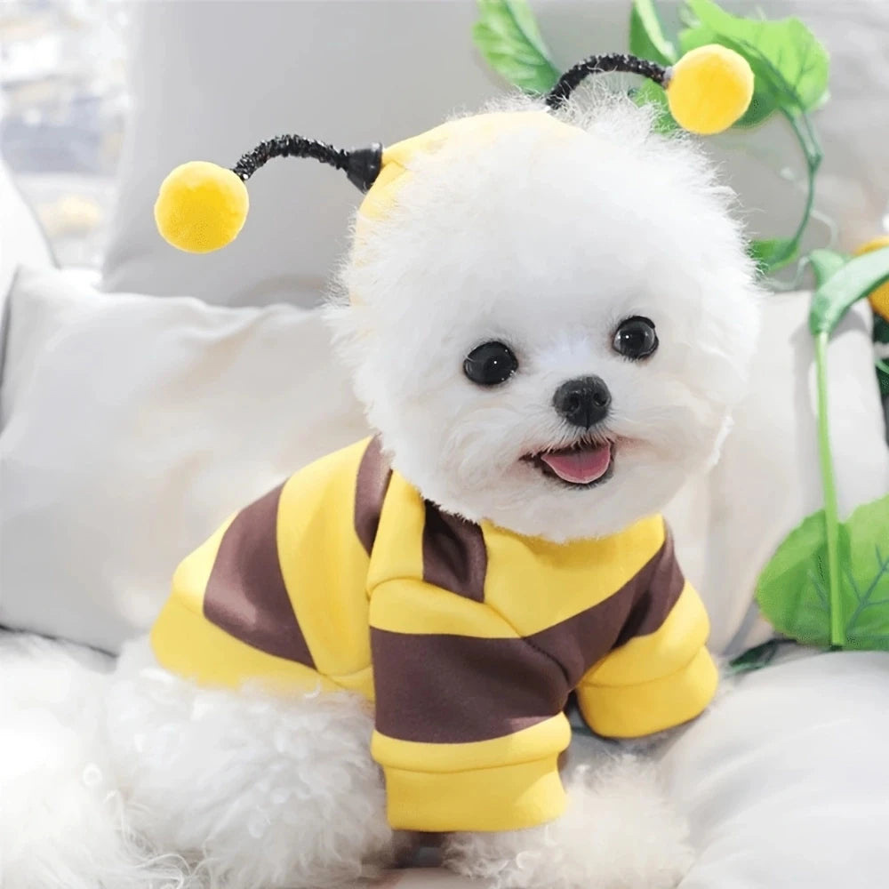 Cute Bee Costume for Dogs and Cats.  Warm Pet Sweater Outfit for Halloween and Every Day Wear.