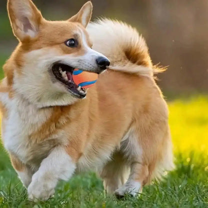 Toy Ball for Puppies & Small, Medium & Large Dogs.