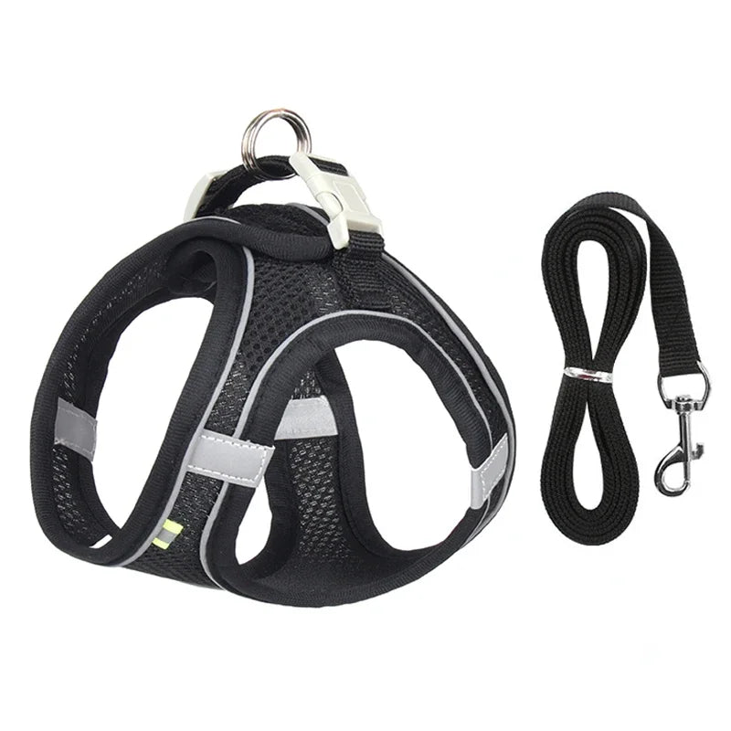 Puppy Collar and Leash Set,  Adjustable for Puppies, Cats and Small Dogs. Comes with Harness Vest.