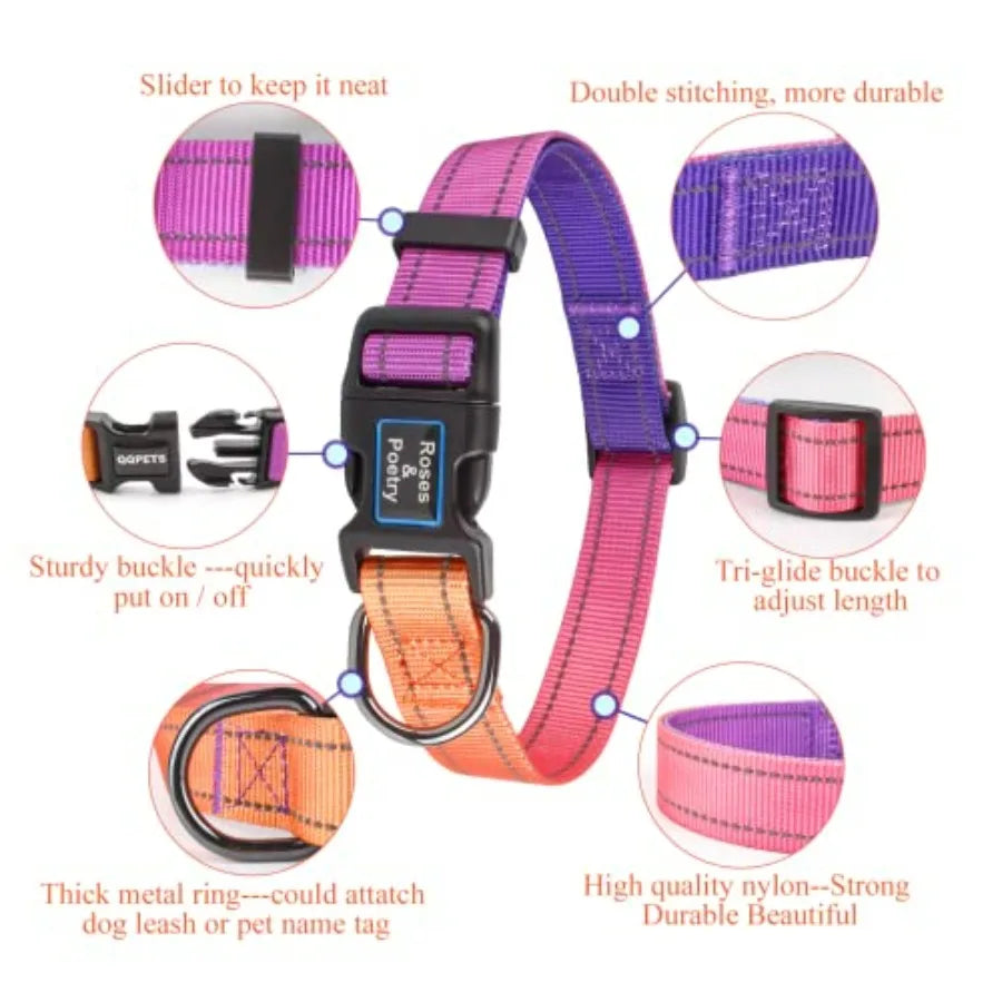 Reflective Dog Collar and Leash Set.                                   Purple Martingale Dog Collar and Leash for Dogs, Adjustable Durable Nylon Pet Collars with