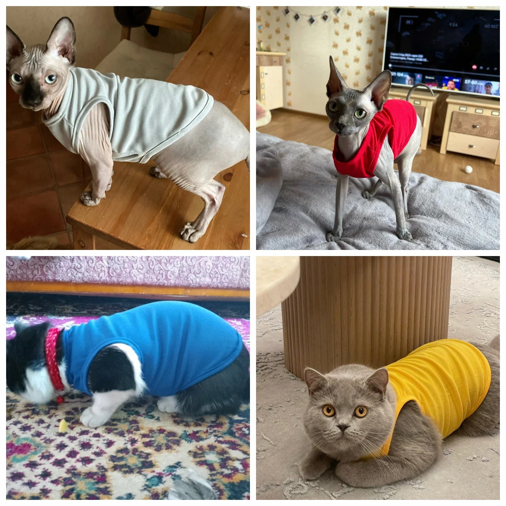 Summer Dog Clothes For Small Dogs Cute Summer Puppy T-Shirt Spring Vests for Small and Medium Dogs and Cats. XS-XXL