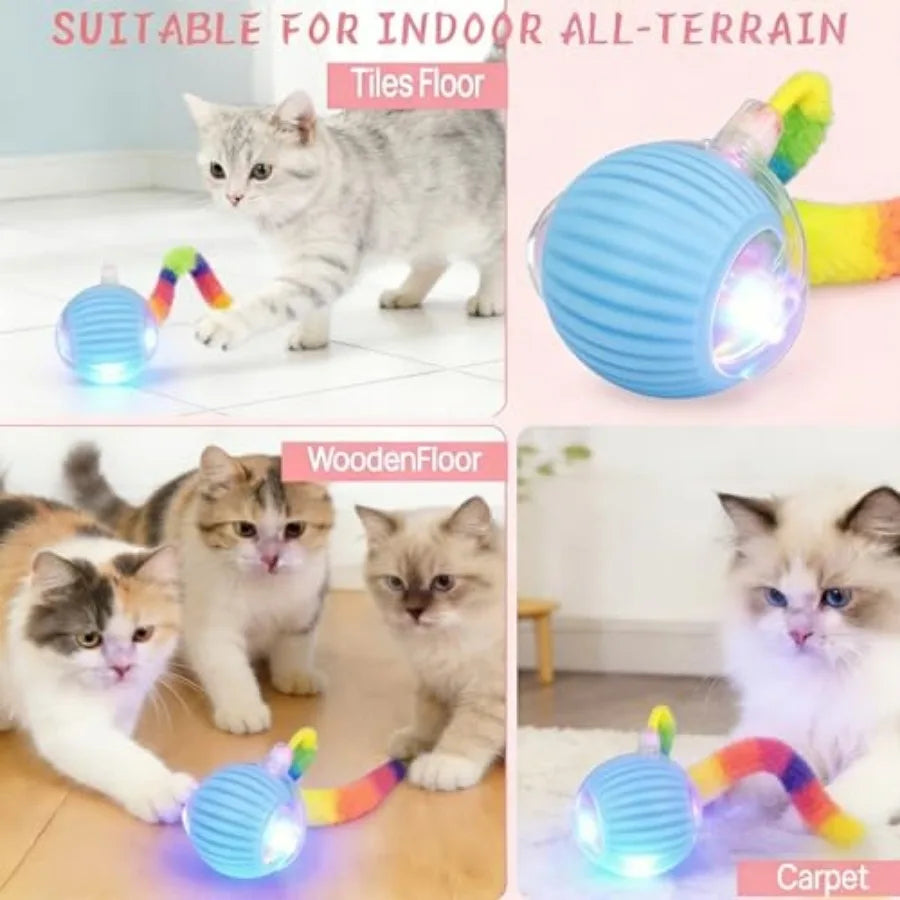 Rechargeable Smart Rolling Cat Ball.  Automatic Interactive Cat Toy with 3 Modes, LED Light and 3 Replaceable Accessories.  Indoor Floors or Carpets are Suitable.