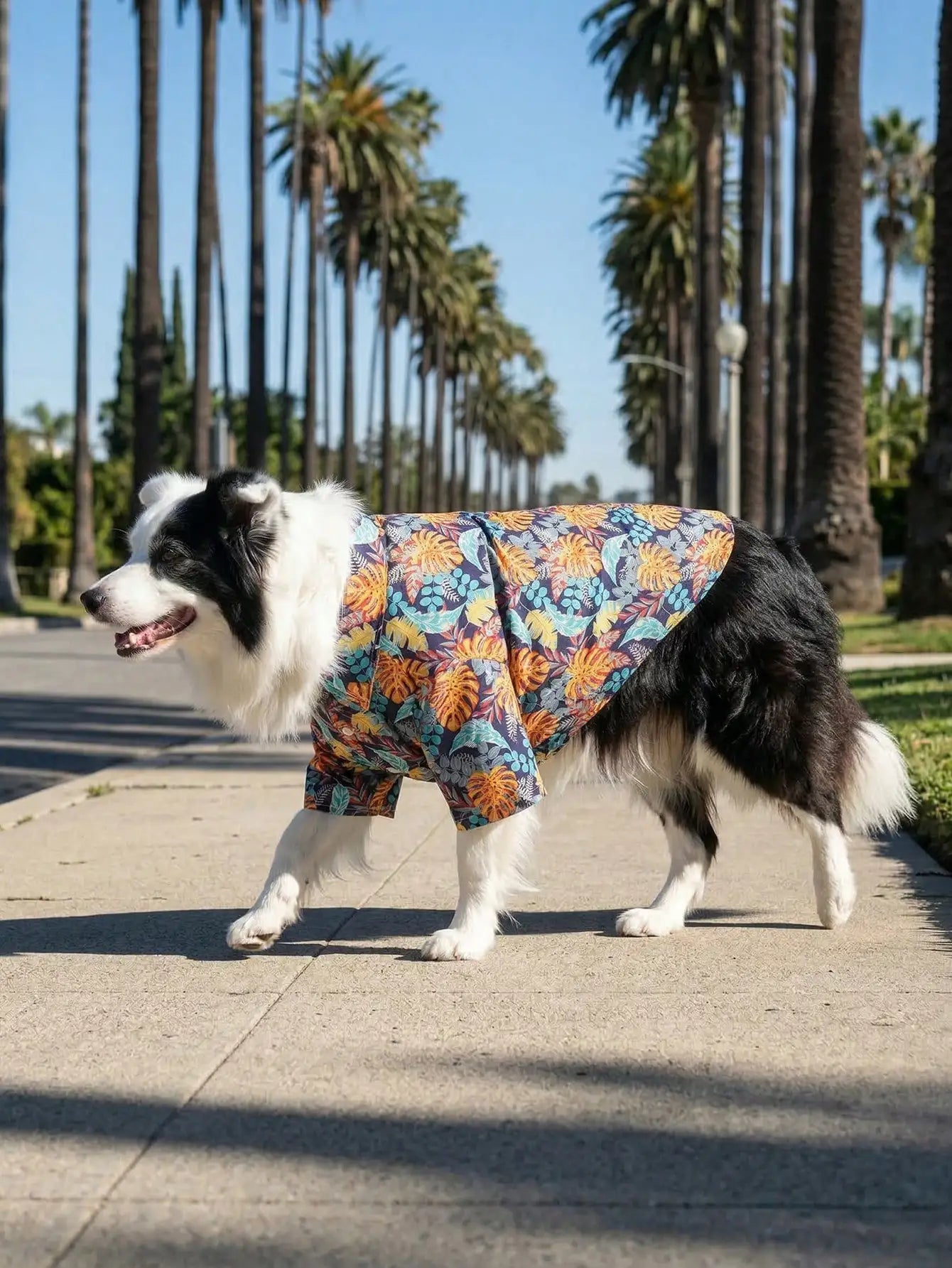 Dog Leisure Shirts For Summer - Breathable and Lightweight.  Summer Shirts For Small, Medium and Large Dogs.