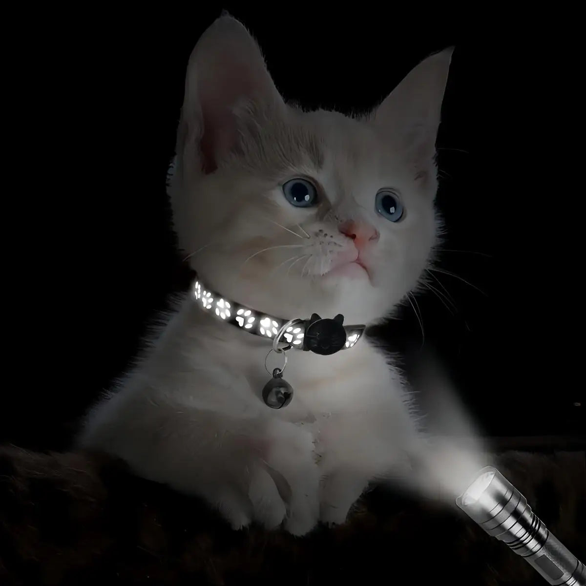 2 Piece Cat and Dog Footprints Really Reflective Pet Collar and Strip Reflective Pet Collar,  (Black only).
