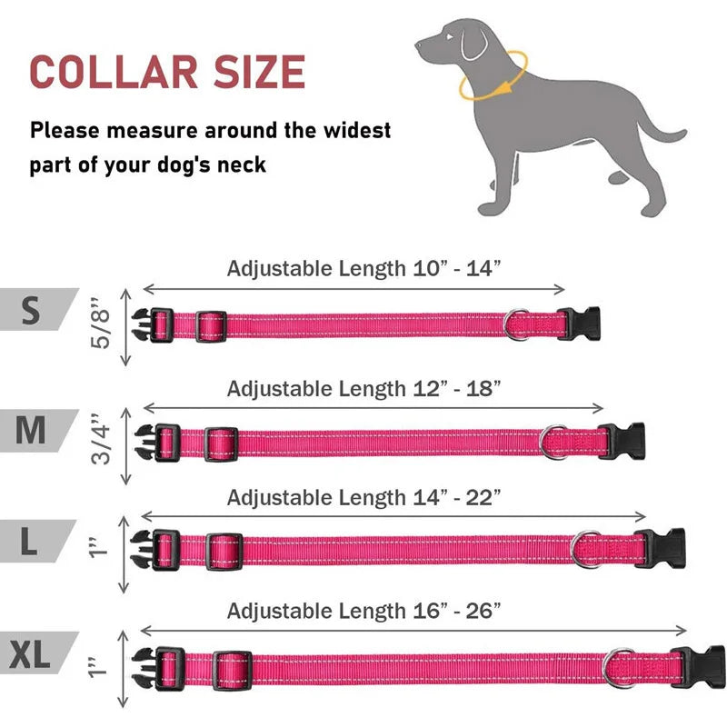 Adjustable Reflective Dog Collar Strap.
